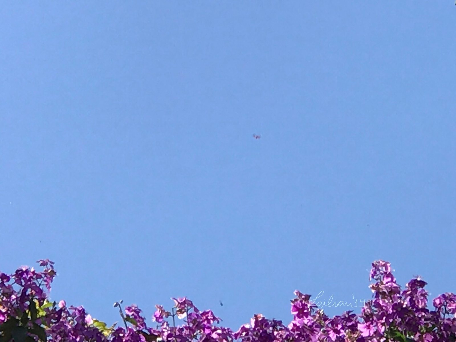 Airscape